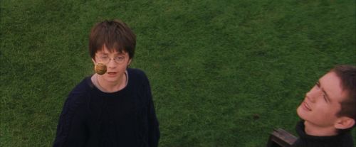 PF-Potterish_05621.jpg