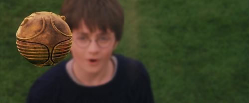 PF-Potterish_05625.jpg