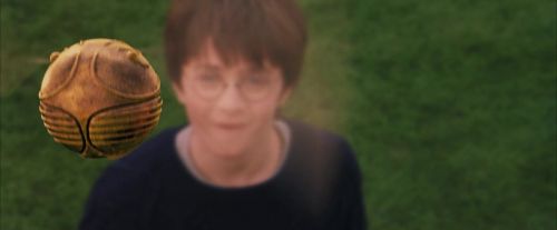 PF-Potterish_05626.jpg