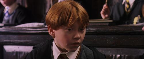 PF-Potterish_05704.jpg