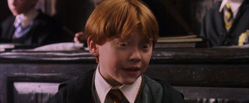 PF-Potterish_05707.jpg