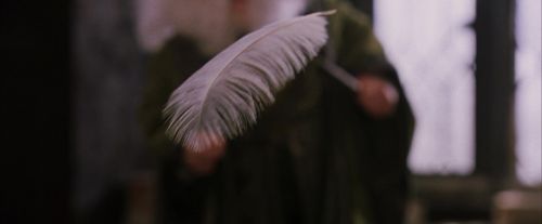 PF-Potterish_05724.jpg