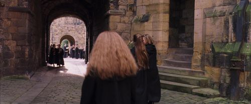 PF-Potterish_05782.jpg