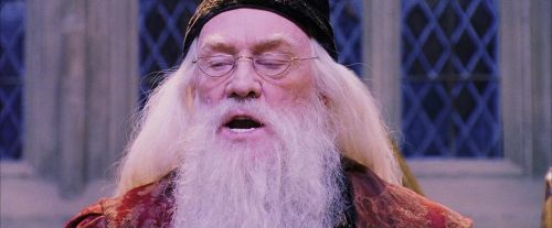 PF-Potterish_05879.jpg