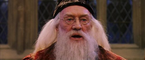 PF-Potterish_05881.jpg