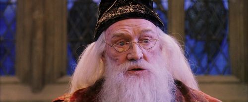 PF-Potterish_05895.jpg