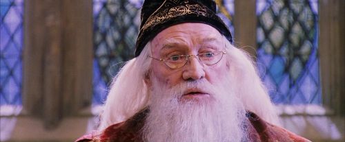 PF-Potterish_05896.jpg
