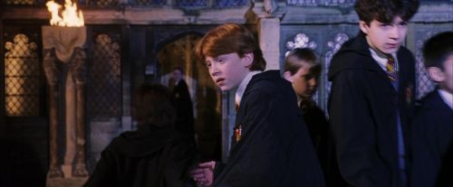 PF-Potterish_05937.jpg