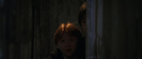 PF-Potterish_05961.jpg
