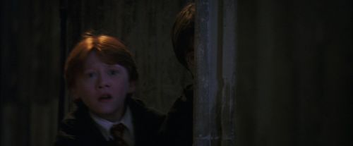 PF-Potterish_05962.jpg