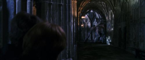 PF-Potterish_05965.jpg