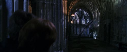 PF-Potterish_05966.jpg