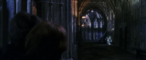 PF-Potterish_05967.jpg