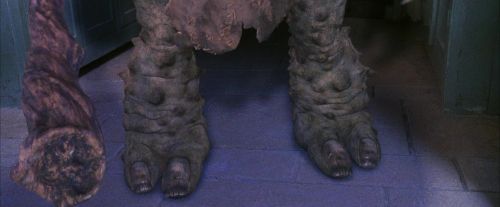 PF-Potterish_05979.jpg