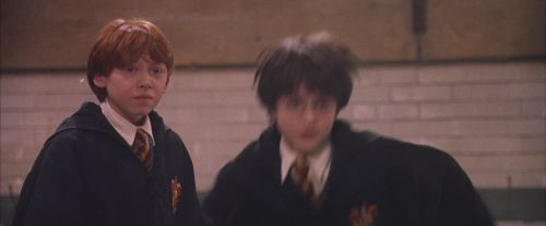 PF-Potterish_06053.jpg