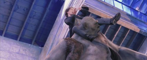 PF-Potterish_06061.jpg