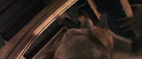 PF-Potterish_06078.jpg