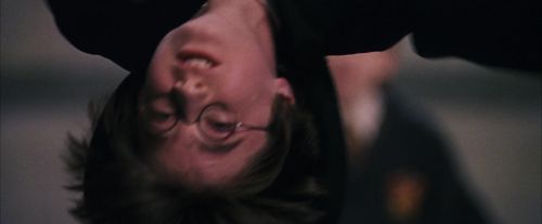 PF-Potterish_06092.jpg