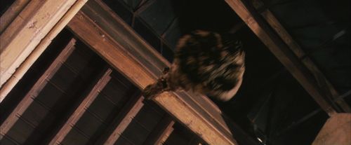 PF-Potterish_06114.jpg
