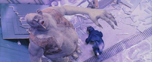 PF-Potterish_06120.jpg