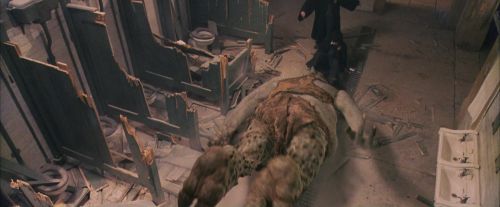 Click to view full size image
==============
PF-Potterish_06133.jpg PF-Potterish_06133.jpg