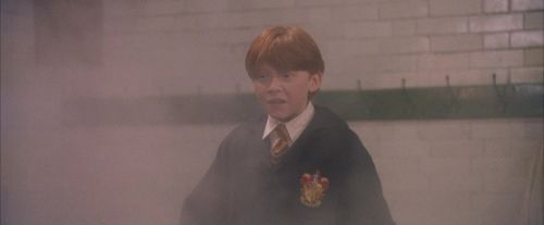PF-Potterish_06137.jpg