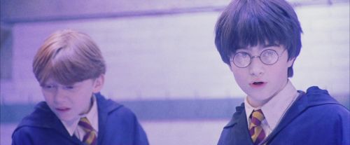 PF-Potterish_06162.jpg