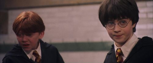 PF-Potterish_06163.jpg