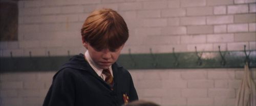PF-Potterish_06166.jpg