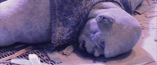 Click to view full size image
==============
PF-Potterish_06293.jpg PF-Potterish_06293.jpg