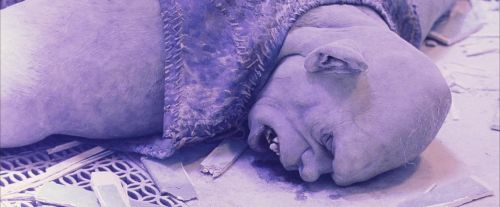 PF-Potterish_06294.jpg