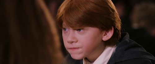 PF-Potterish_06375.jpg