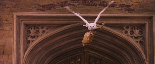 Click to view full size image
==============
PF-Potterish_06390.jpg PF-Potterish_06390.jpg