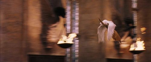 PF-Potterish_06395.jpg