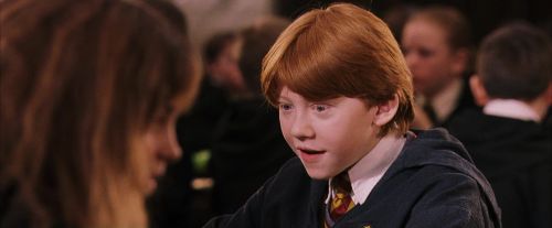 PF-Potterish_06429.jpg