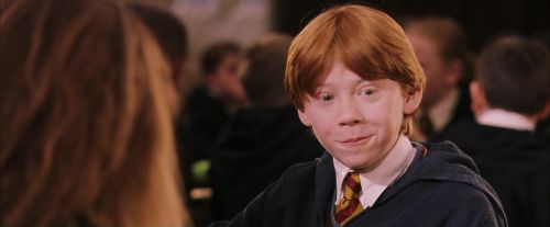 PF-Potterish_06431.jpg