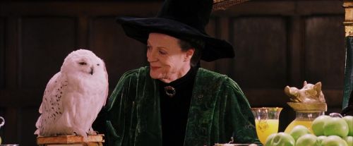Click to view full size image
==============
PF-Potterish_06439.jpg PF-Potterish_06439.jpg