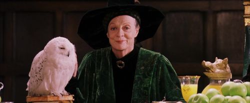 PF-Potterish_06440.jpg