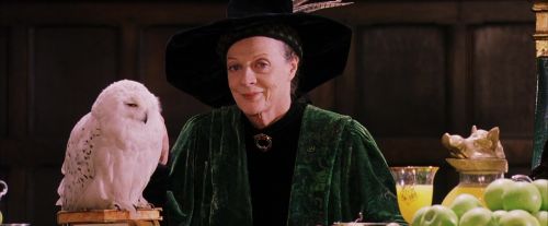 PF-Potterish_06441.jpg