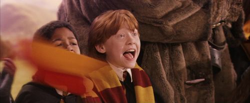Click to view full size image
==============
PF-Potterish_06544.jpg PF-Potterish_06544.jpg