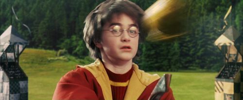 Click to view full size image
==============
PF-Potterish_06613.jpg PF-Potterish_06613.jpg