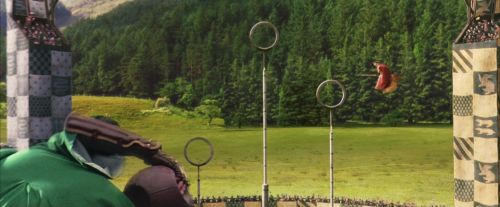 PF-Potterish_06754.jpg