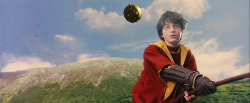 PF-Potterish_06864.jpg