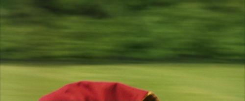 Click to view full size image
==============
PF-Potterish_06873.jpg PF-Potterish_06873.jpg