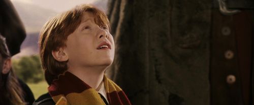 PF-Potterish_06882.jpg