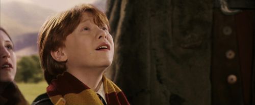 Click to view full size image
==============
PF-Potterish_06883.jpg PF-Potterish_06883.jpg