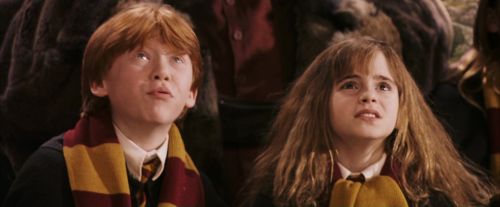 PF-Potterish_06904.jpg
