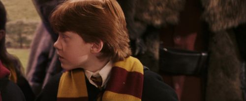 PF-Potterish_06911.jpg