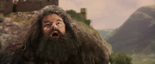 PF-Potterish_06925.jpg