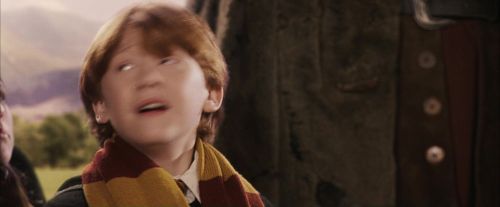 PF-Potterish_06926.jpg